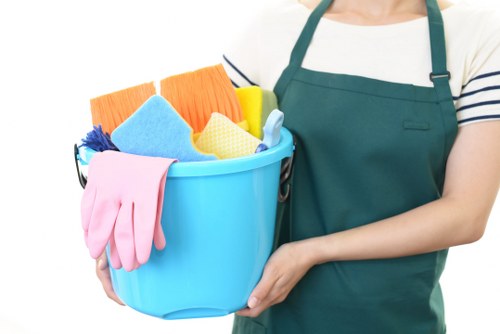 Professional Brompton cleaners providing detailed home cleaning