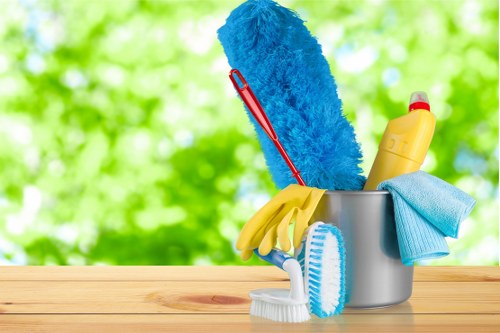 Vacuuming and dusting routine for domestic cleaning at home