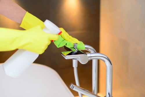 Professional oven cleaning process in a modern kitchen