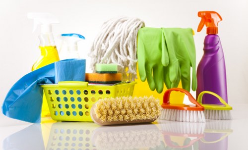 Professional property upkeep through regular cleaning