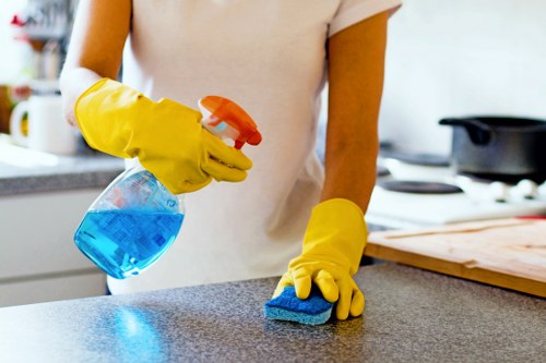 Bathroom house cleaning products and tools arranged for deep cleaning