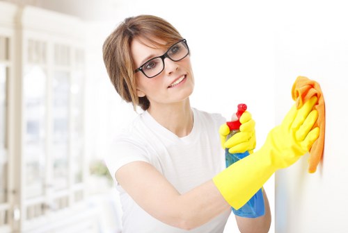 Eco-friendly domestic cleaning tools and products on a shelf