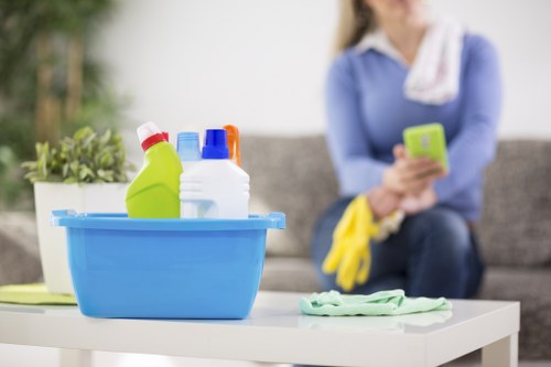 Bathroom deep cleaning during a move-out service