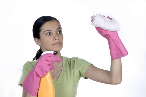 Routine vacuuming and maintenance for area rugs